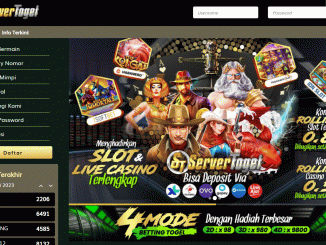 SERVERTOGEL