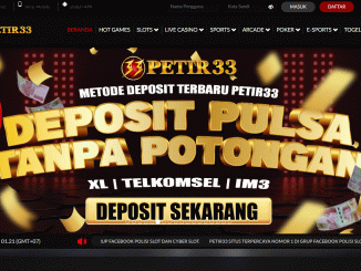 PETIR33